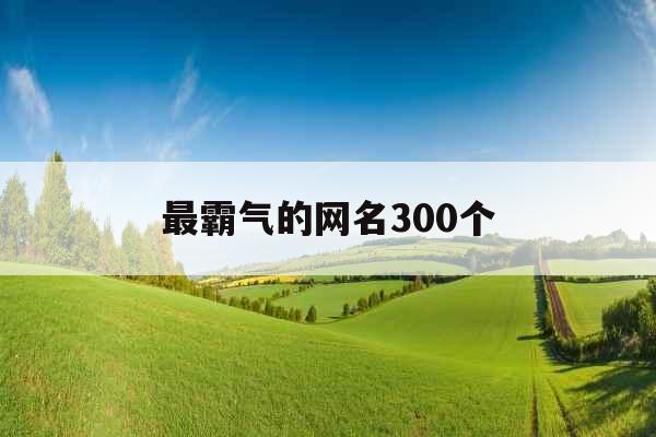 最霸气的网名300个