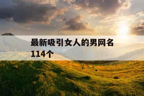 最新吸引女人的男网名114个