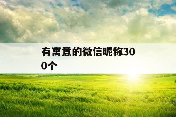 有寓意的微信昵称300个