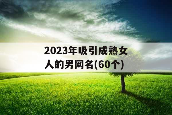 2023年吸引成熟女人的男网名(60个) 2023年吸引成熟女人的男网名(60个)