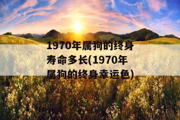 1970年属狗的终身寿命多长(1970年属狗的终身幸运色)