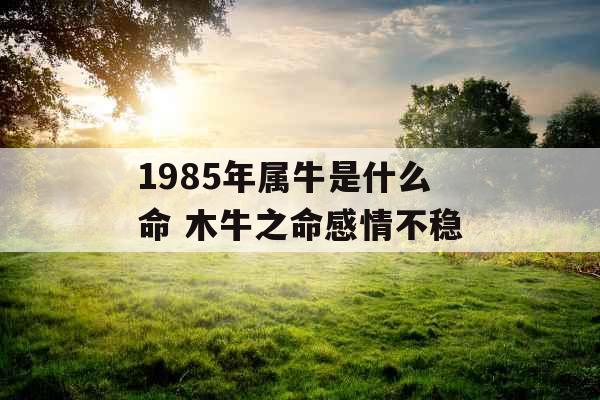 1985年属牛是什么命 木牛之命感情不稳