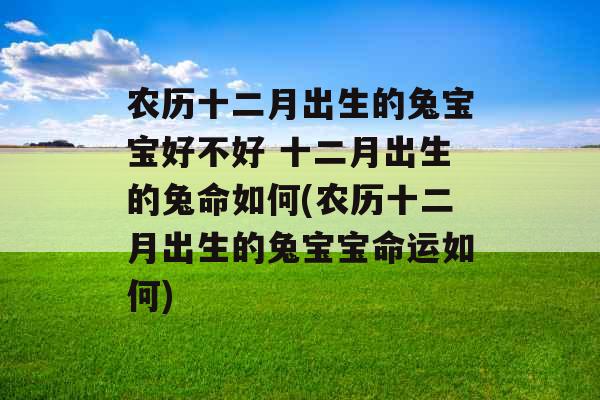 农历十二月出生的兔宝宝好不好 十二月出生的兔命如何(农历十二月出生的兔宝宝命运如何) 农历十二月出生的兔宝宝好不好 十二月出生的兔命如何(农历十二月出生的兔宝宝命运如何)