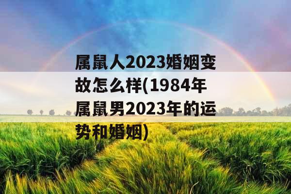 属鼠人2023婚姻变故怎么样(1984年属鼠男2023年的运势和婚姻)