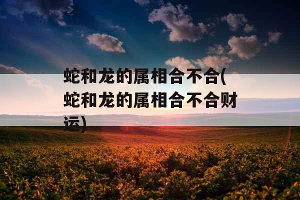 蛇和龙的属相合不合(蛇和龙的属相合不合财运)