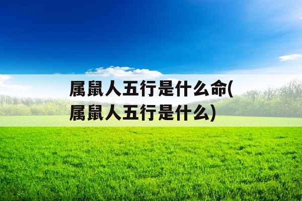 属鼠人五行是什么命(属鼠人五行是什么)