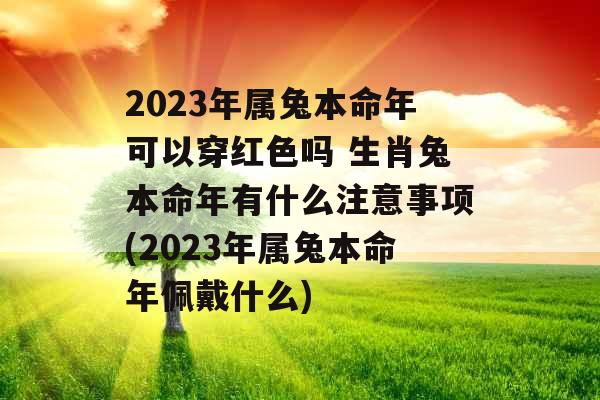 2023年属兔本命年可以穿红色吗 生肖兔本命年有什么注意事项(2023年属兔本命年佩戴什么)