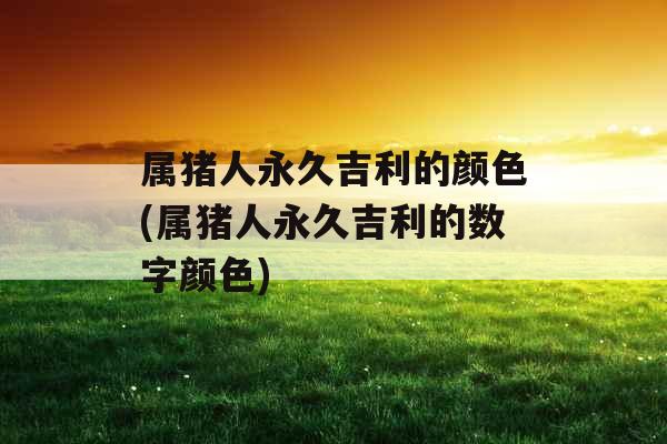 属猪人永久吉利的颜色(属猪人永久吉利的数字颜色)