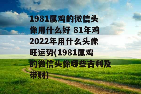 1981属鸡的微信头像用什么好 81年鸡2022年用什么头像旺运势(1981属鸡的微信头像哪些吉利及带财)