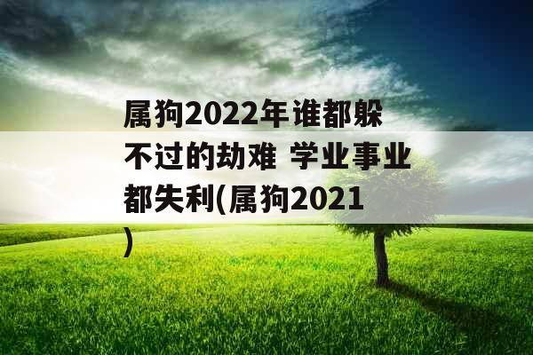 属狗2022年谁都躲不过的劫难 学业事业都失利(属狗2021)
