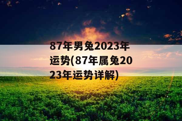 87年男兔2023年运势(87年属兔2023年运势详解)