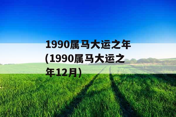 1990属马大运之年(1990属马大运之年12月)