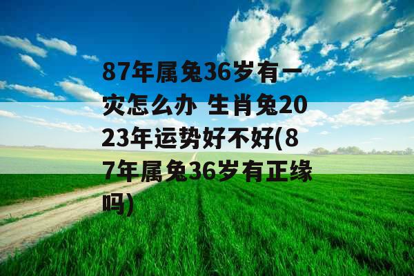 87年属兔36岁有一灾怎么办 生肖兔2023年运势好不好(87年属兔36岁有正缘吗) 87年属兔36岁有一灾怎么办 生肖兔2023年运势好不好(87年属兔36岁有正缘吗)