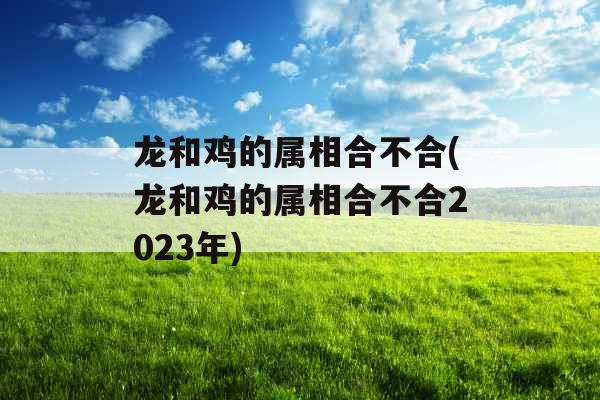 龙和鸡的属相合不合(龙和鸡的属相合不合2023年)