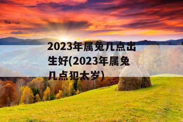 2023年属兔几点出生好(2023年属兔几点犯太岁)