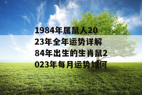 1984年属鼠人2023年全年运势详解 84年出生的生肖鼠2023年每月运势如何