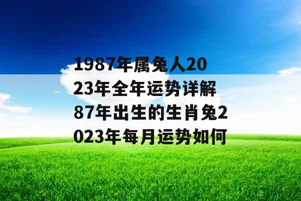 1987年属兔人2023年全年运势详解 87年出生的生肖兔2023年每月运势如何
