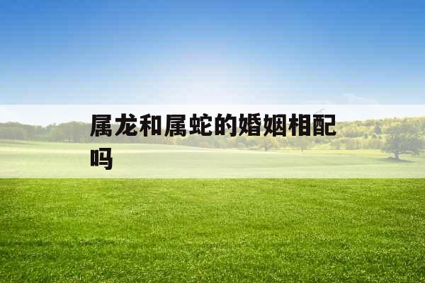 属龙和属蛇的婚姻相配吗