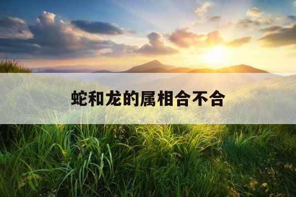 蛇和龙的属相合不合