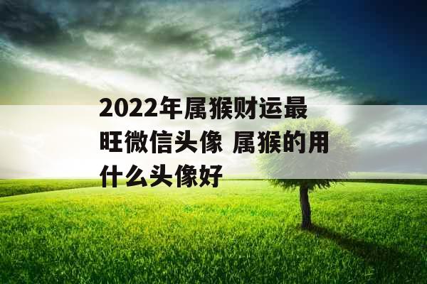 2022年属猴财运最旺微信头像 属猴的用什么头像好