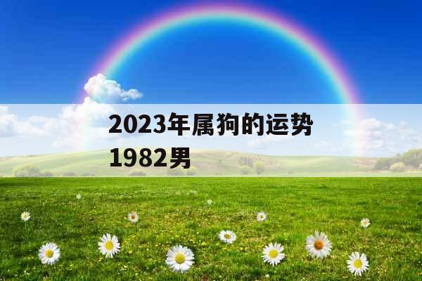 2023年属狗的运势1982男