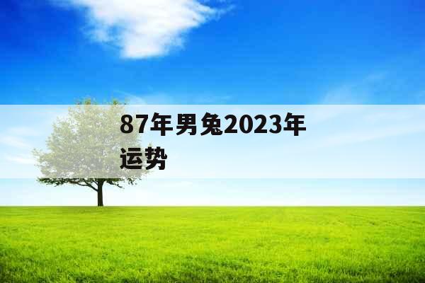 87年男兔2023年运势