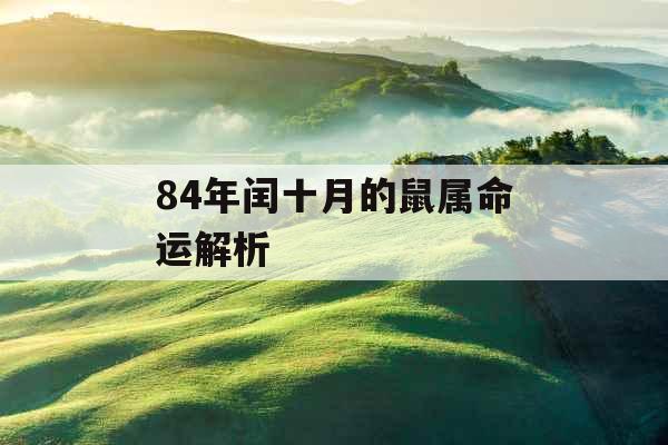 84年闰十月的鼠属命运解析 84年闰十月的鼠属命运解析