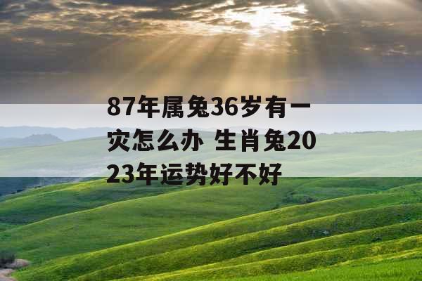 87年属兔36岁有一灾怎么办 生肖兔2023年运势好不好 87年属兔36岁有一灾怎么办 生肖兔2023年运势好不好