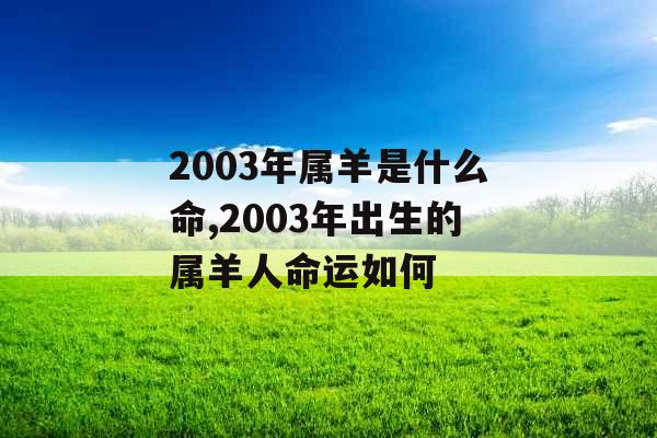 2003年属羊是什么命,2003年出生的属羊人命运如何