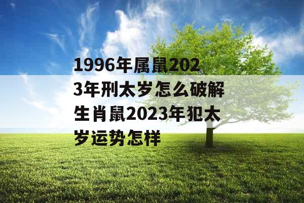 1996年属鼠2023年刑太岁怎么破解 生肖鼠2023年犯太岁运势怎样