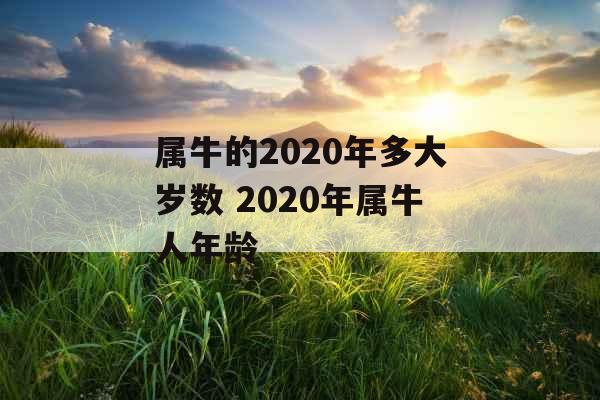 属牛的2020年多大岁数 2020年属牛人年龄 属牛的2020年多大岁数 2020年属牛人年龄