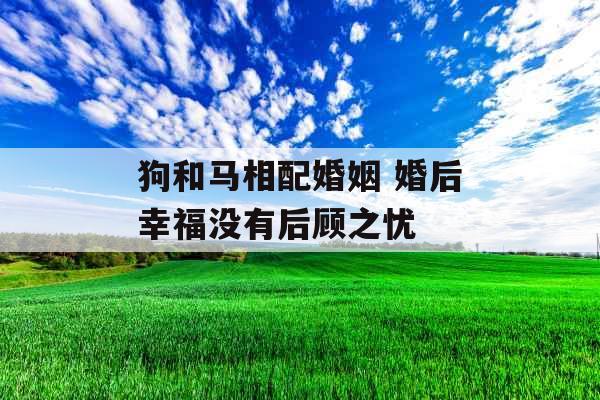 狗和马相配婚姻 婚后幸福没有后顾之忧