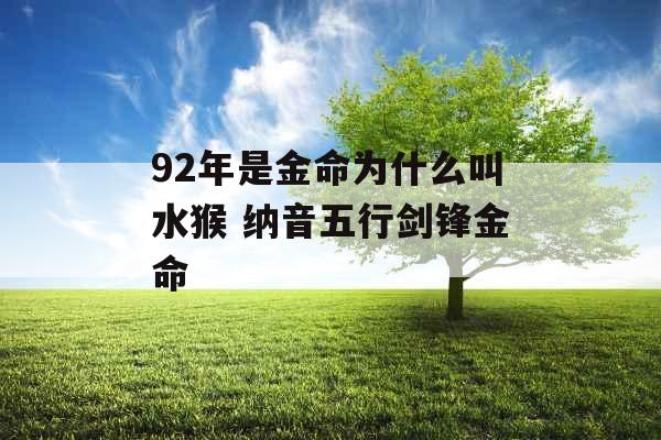 92年是金命为什么叫水猴 纳音五行剑锋金命