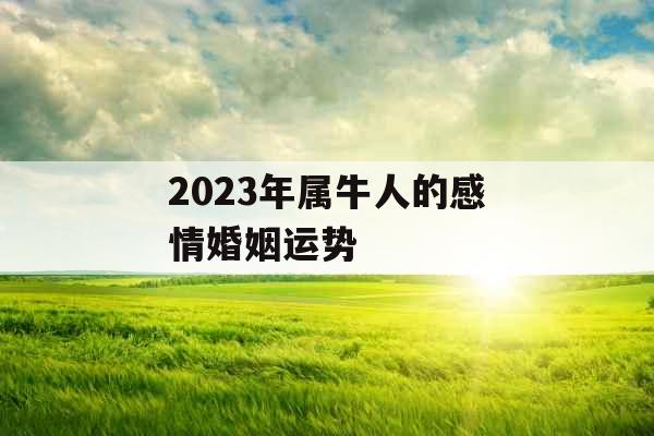 2023年属牛人的感情婚姻运势