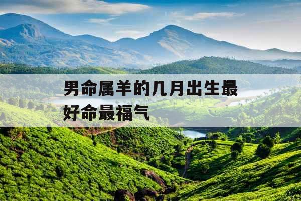 男命属羊的几月出生最好命最福气