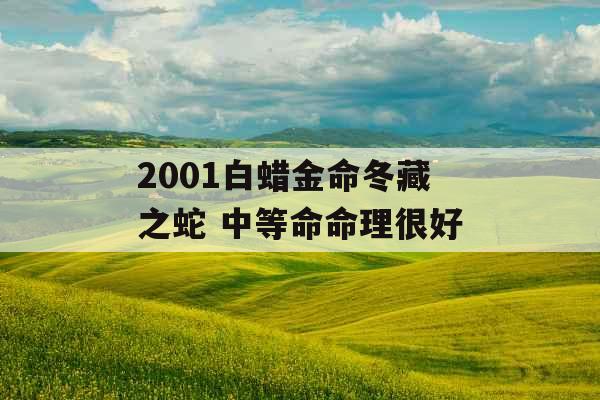 2001白蜡金命冬藏之蛇 中等命命理很好 2001白蜡金命冬藏之蛇 中等命命理很好