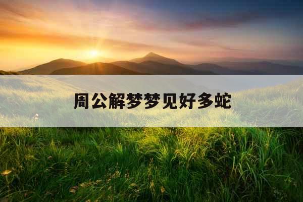 周公解梦梦见好多蛇