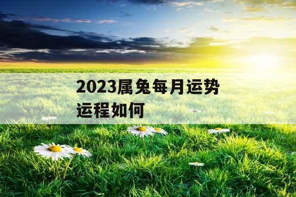 2023属兔每月运势运程如何