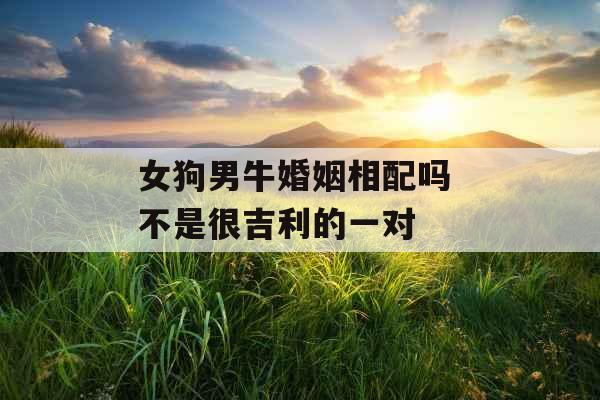 女狗男牛婚姻相配吗 不是很吉利的一对