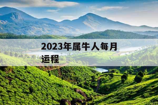 2023年属牛人每月运程 2023年属牛人每月运程