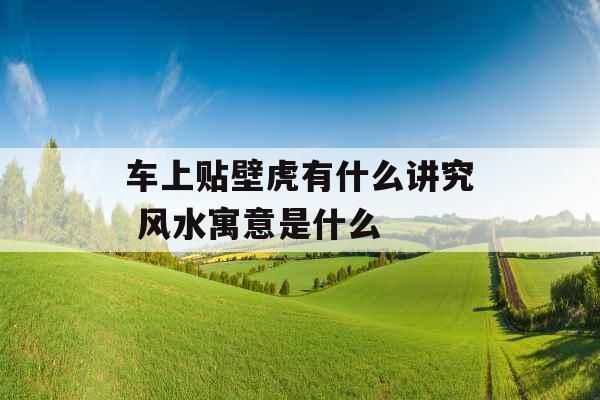 车上贴壁虎有什么讲究 风水寓意是什么
