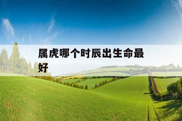 属虎哪个时辰出生命最好
