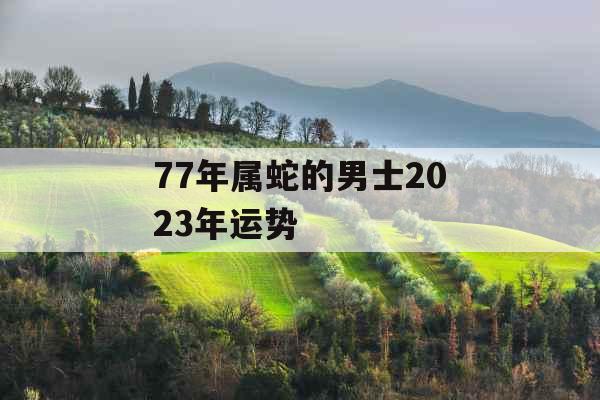 77年属蛇的男士2023年运势