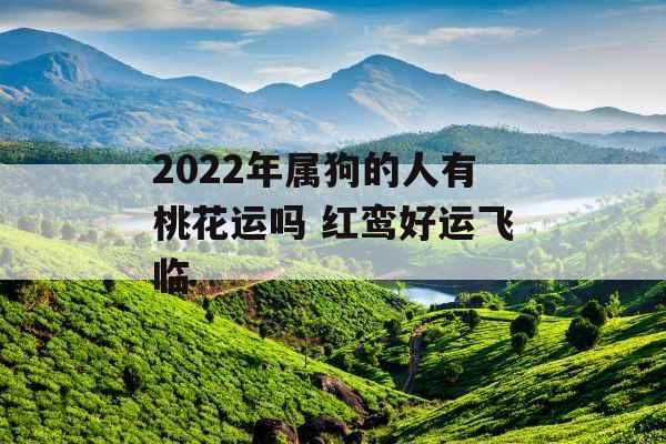 2022年属狗的人有桃花运吗 红鸾好运飞临