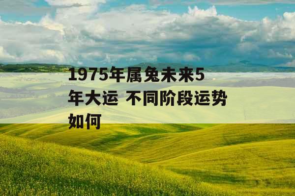 1975年属兔未来5年大运 不同阶段运势如何 1975年属兔未来5年大运 不同阶段运势如何