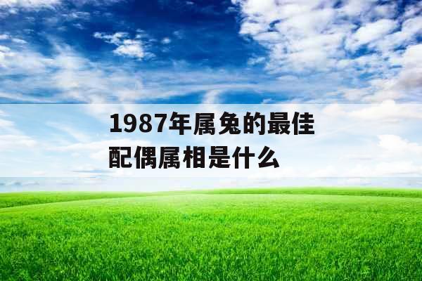 1987年属兔的最佳配偶属相是什么