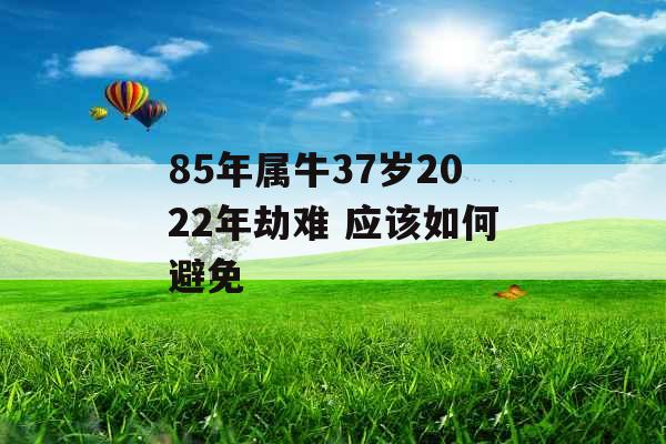 85年属牛37岁2022年劫难 应该如何避免