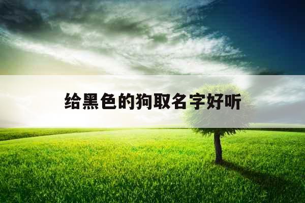 给黑色的狗取名字好听