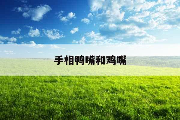 手相鸭嘴和鸡嘴