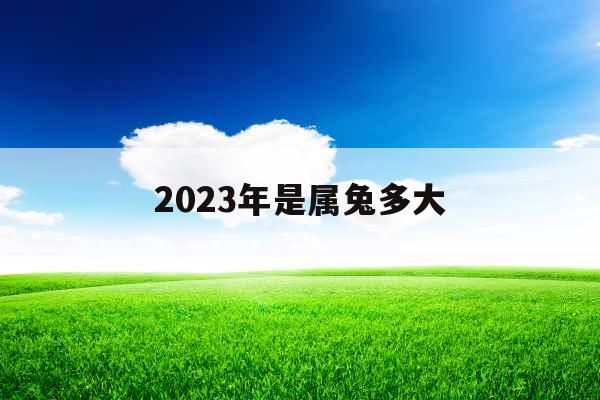 2023年是属兔多大 2023年是属兔多大